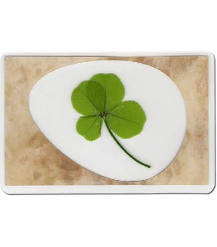 Amazon.co.jp: 本物四葉のクローバー 《Good Luck Pocket Token